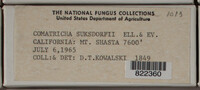 Image Associated With the Occurence